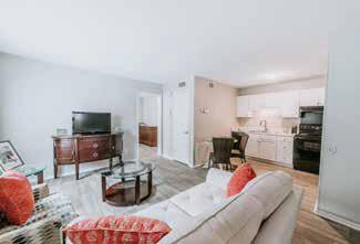 Bright one-bedroom living room with plank flooring and large window